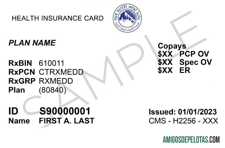 Cartão de seguro saúde da Eritreia exemplo real